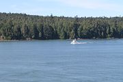 21 - Ferry to Vancouver Island - IMG_1568